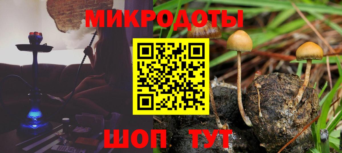 Псилоцибиновые грибы Cubensis  Галлюциногенные грибы мухоморы  Вход с VPN  Вятские Поляны 